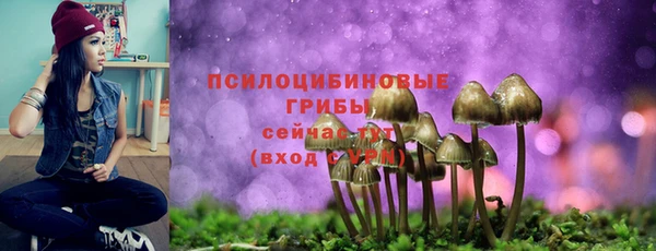 молекула духа Алексин