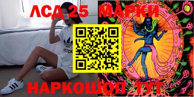 стаф Бийск